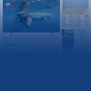 Samsung Q55Q6FN (audiovision 10-2018)